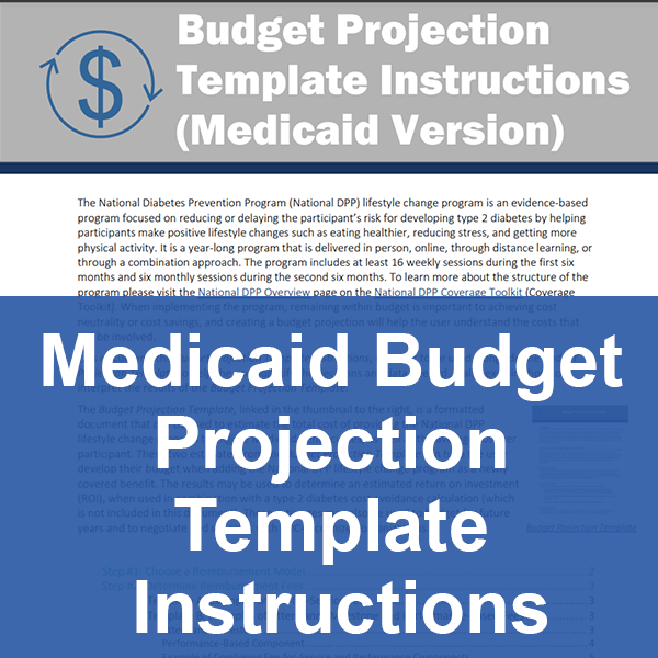Mediciad Budget Proejction Template Instructions Icon