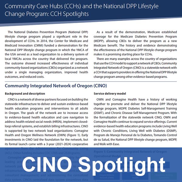 CINO Spotlight