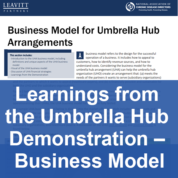 Learnings-from-the-Umbrella-Hub-Demonstration-&ndash;-Business-Model