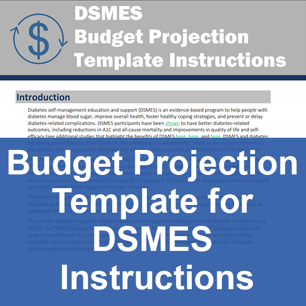 Budget Projection Template for DSMES Instructions