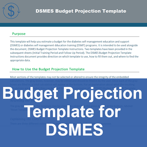 Budget Projection Template for DSMES