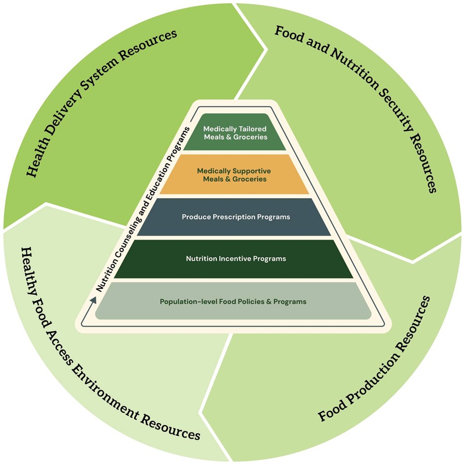 Food Is Medicine Pyramid