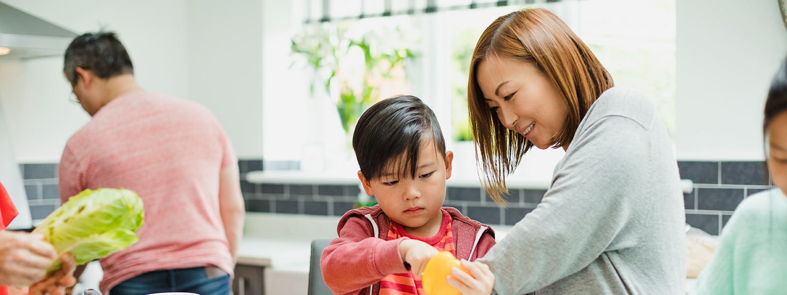 Family Healthy Weight Programs
